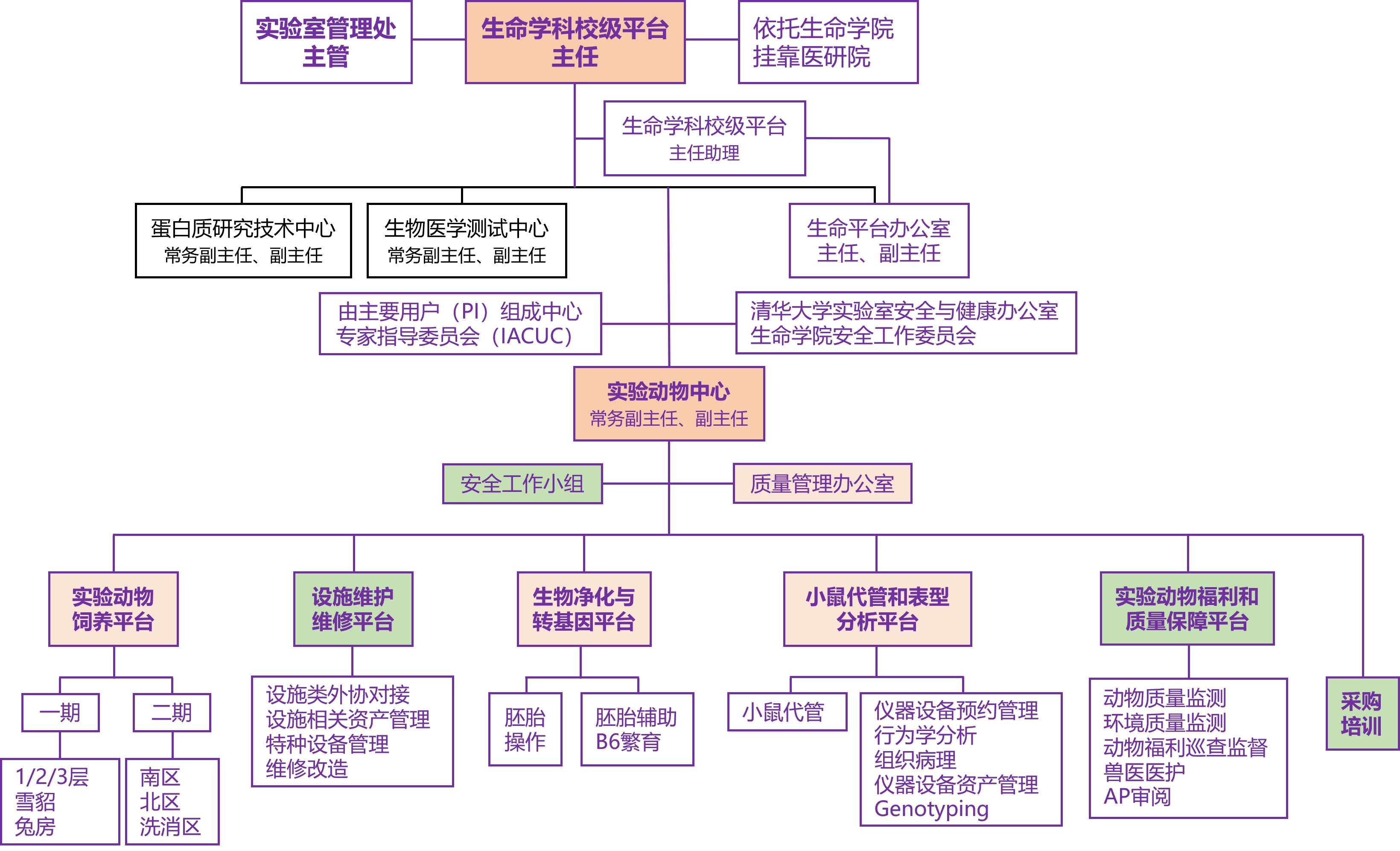 中心组织机构图