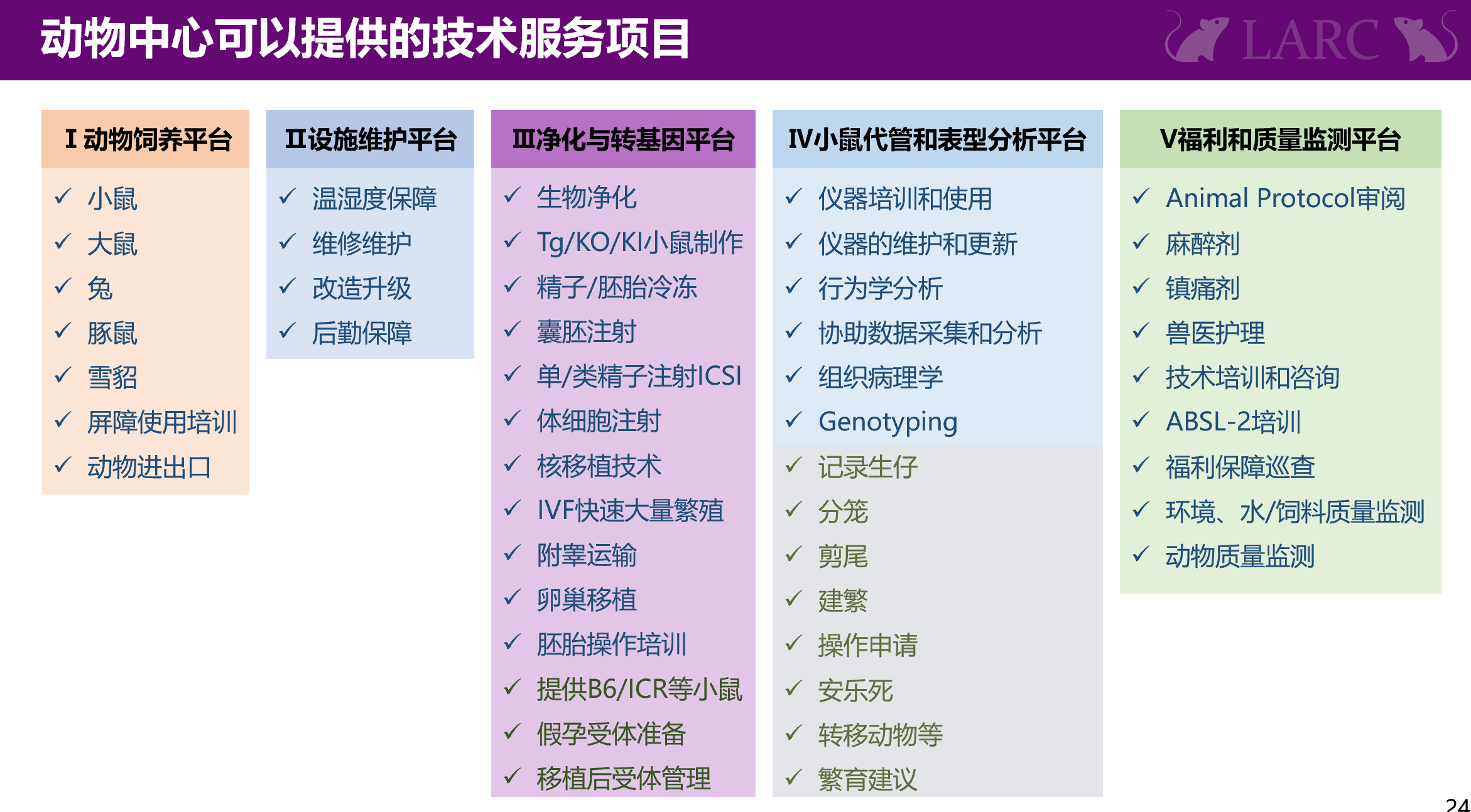 中心技术服务内容