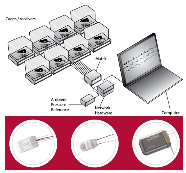 小动物生理信号遥测系统